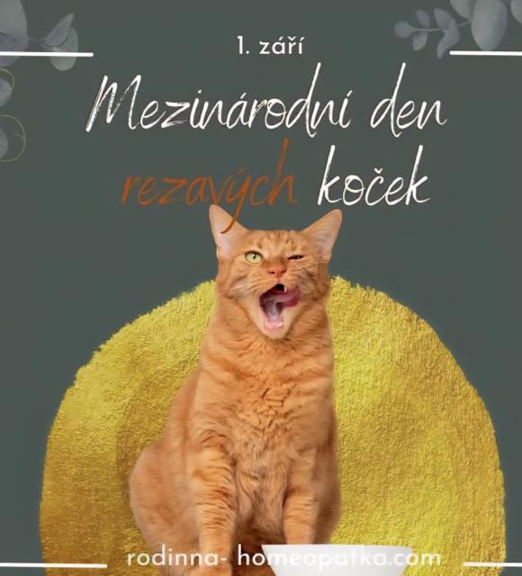 V�echno nejlep�� v�em rezav�m kamar�d�m.