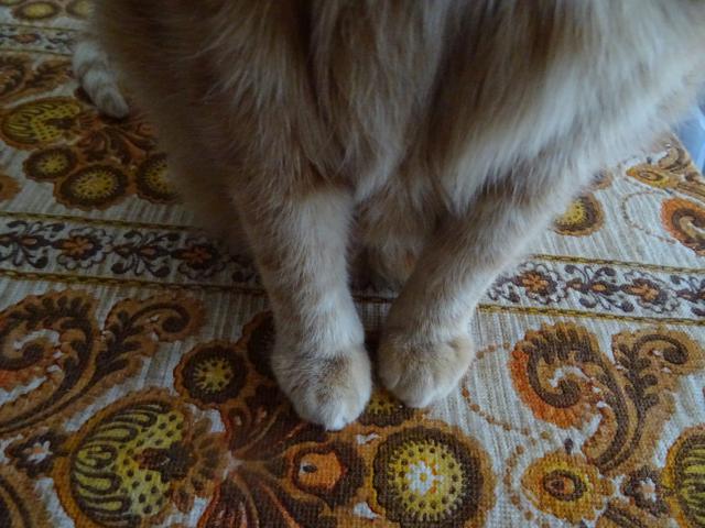 J� m�m p�edn� tlapi�ky zp�sobn� slo�en� u sebe. Ne jako Lojza ty svoje podstavce. :-)))