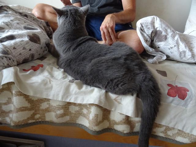 P�n�k dojel a po��dn� m� vyh�ebelcoval.