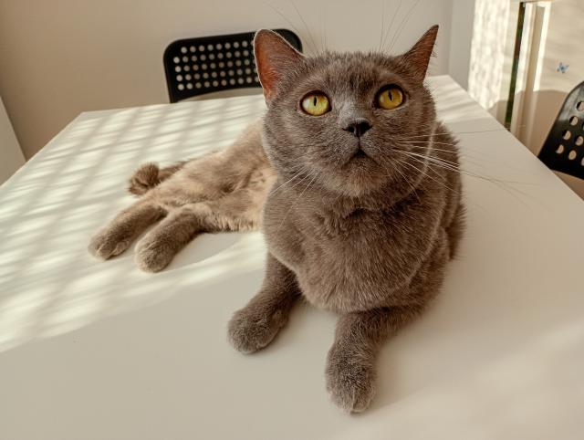 Fotka u koment��e