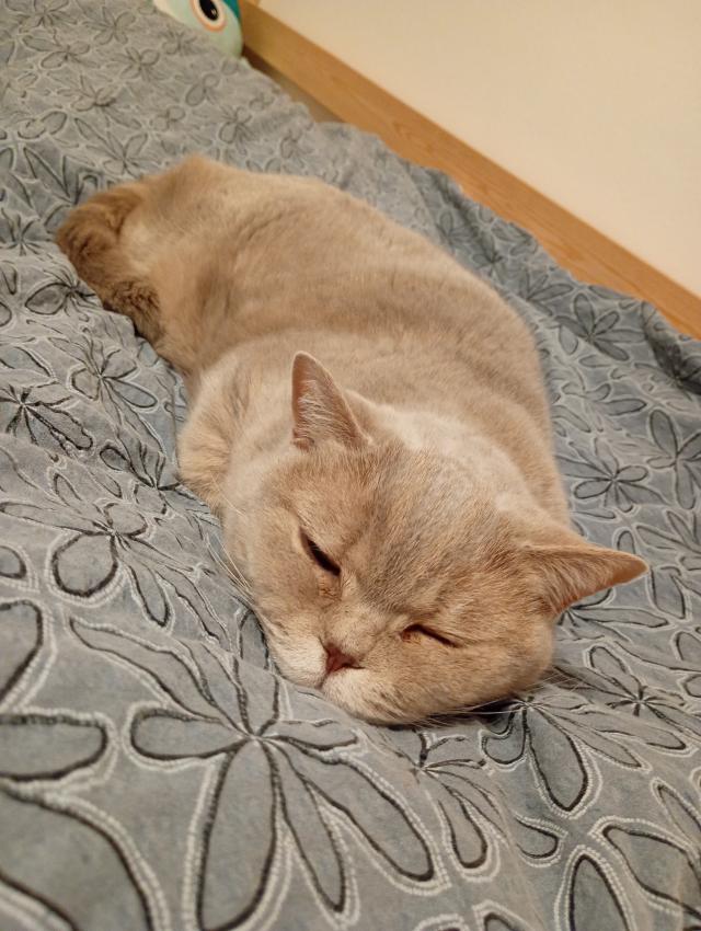 Fotka u koment��e