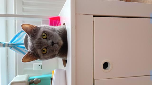 Fotka u koment��e