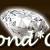 Maine Diamond, CZ - Chovatelsk stanice