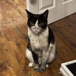 Buď je tak zbarvená nebo proletěla komínem.-)