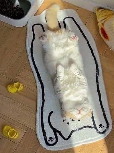 .-))