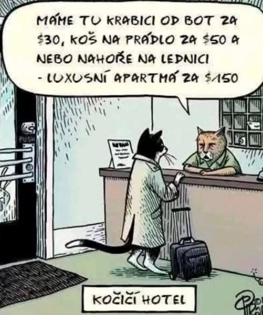 .-))))