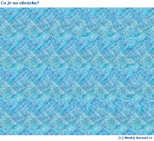 Kv�zou� 19: Co je na obr�zku?