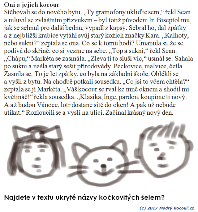 Kv�zou� 32: Oni a jejich kocour