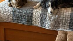 kamar�di ko�i��ci m�m novou k�mo�ku