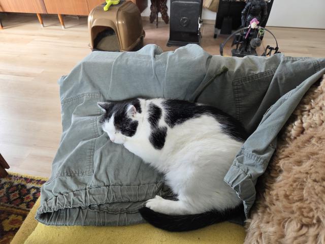 Kdy� nemohu le�et Martinovi na kl�n�, tak aspo� na jeho kalhot�ch!
