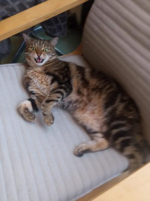 p�n��ek ��k�,�e jsem malej �elm�k