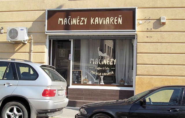 Koi kavrna Mainzy, Bratislava, Slovensko / Cat caf Mainzy, Bratislava, Slovakia