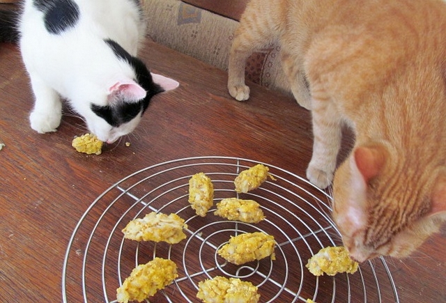 Vaříme pro kočky: recept na rybí palce - ochutnávka