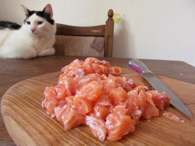 Vaříme pro kočky: lososové koláčky z batát