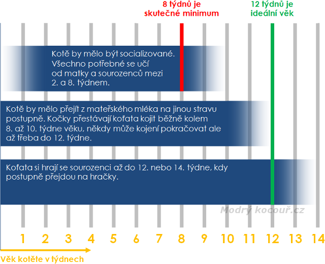 Vk odchodu kotte od matky