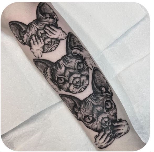 Koi tetovn / Cat tattoo