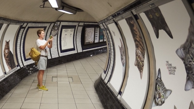 Namsto reklam jsou v londnsk stanici metra Clapham Common fotky koek