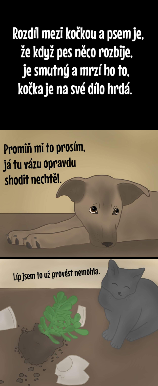 Komiks Creepy kočky: Kočka versus pes 5. Modrý kocouř.cz