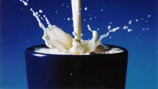 Veterinární poradna: Může kocour mléko bez laktózy?