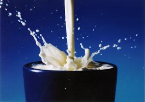 Veterinrn poradna: Me kocour mlko bez laktzy?